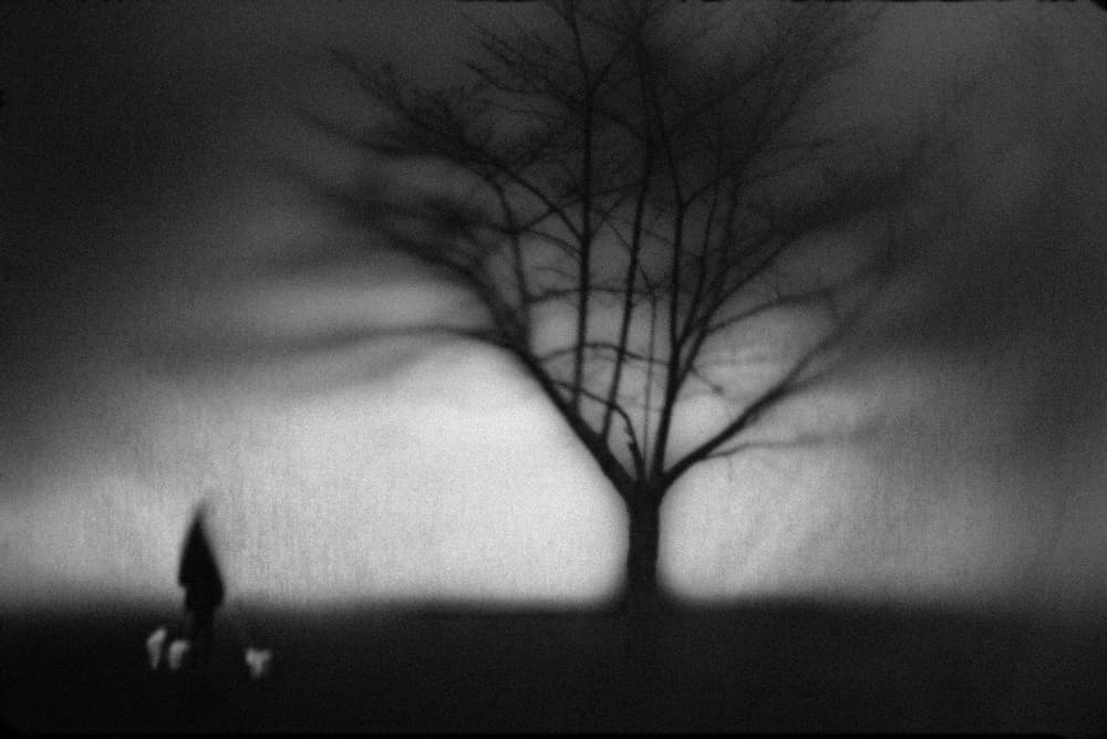 Solitary Walk Winter Tree by Teruhiko Tsuchida — canvas wall art