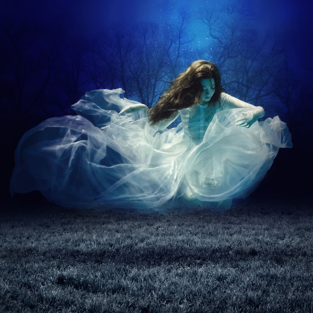 Ethereal Forest Dream by Dmitry Frizel — canvas wall art