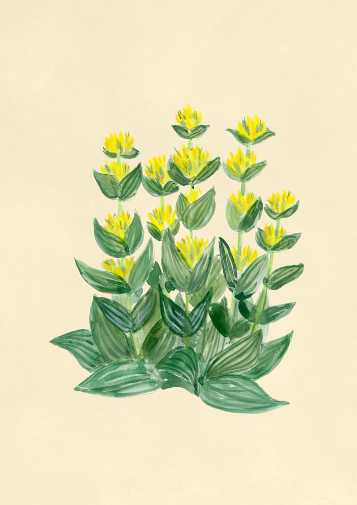 Fresh Yellow Flowers by Rosana Laiz Blursbyai — canvas wall art