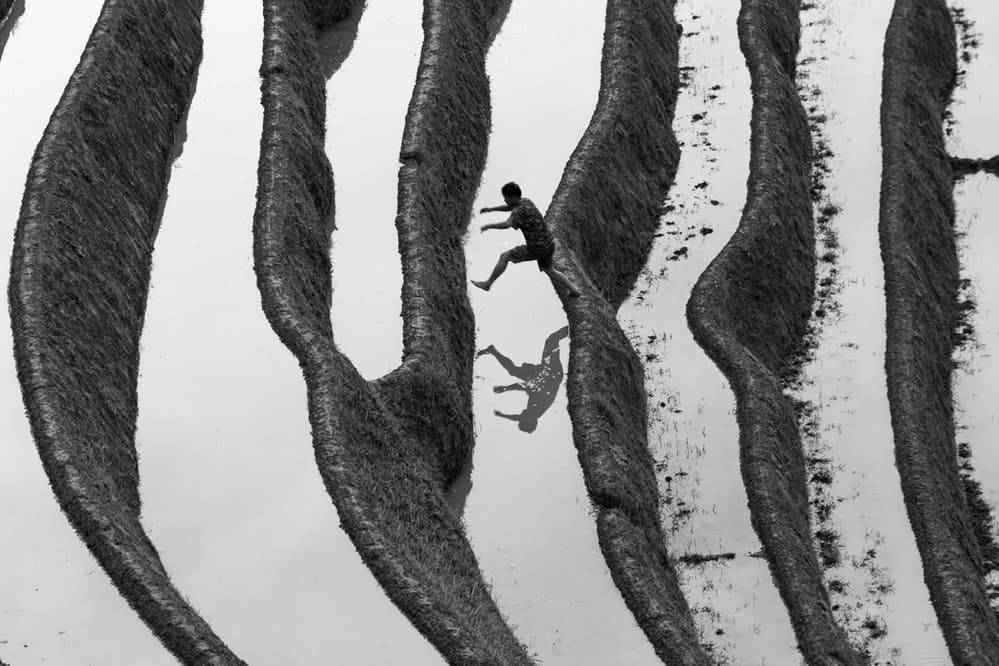 Rice Paddy Jumper by Gunarto Song — canvas wall art