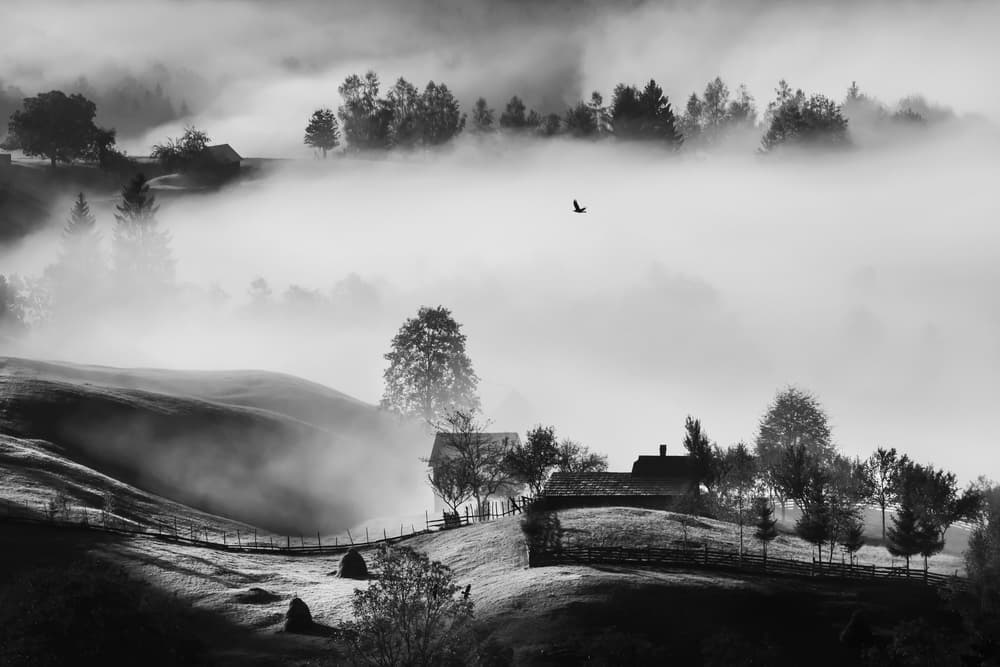 Misty Rural Morning by Sveduneac Dorin Lucian — canvas wall art