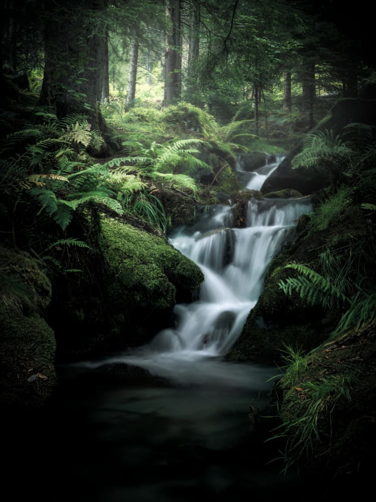 Enchanted Woodland Falls by Cristiano Giani — canvas wall art