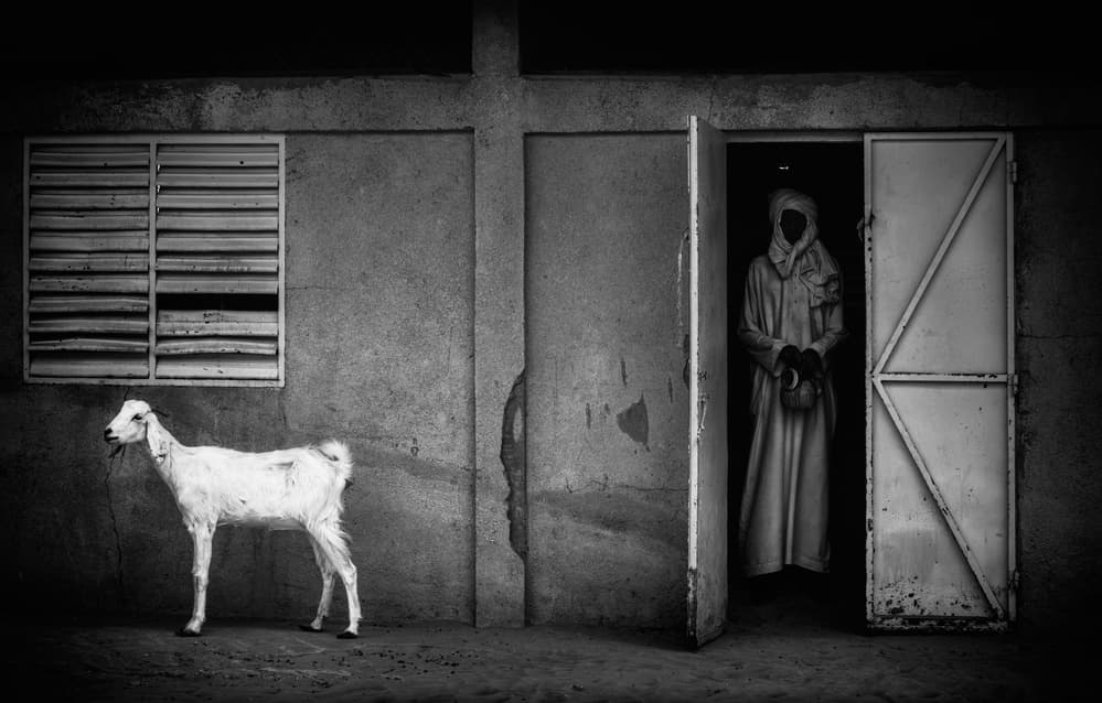 White Goat Dark Door by Joxe Inazio Kuesta Garmendia — canvas wall art
