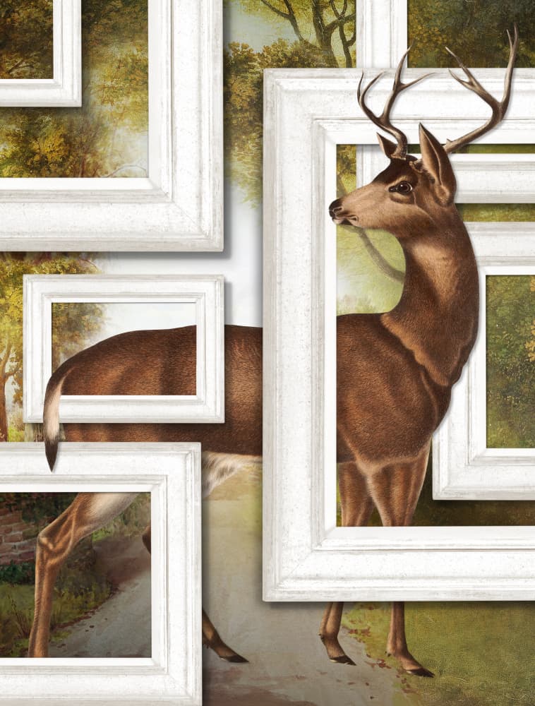 Deer Through Frames by Marja van den Hurk — canvas wall art