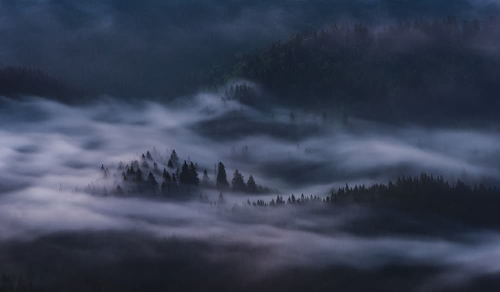Misty Mountain Forest by Szabo Zsolt Andras — canvas wall art