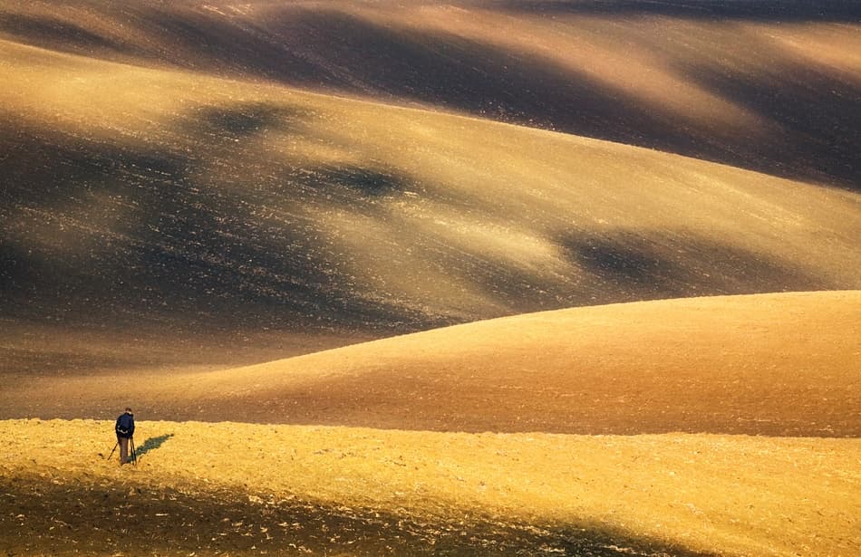 Golden Fields Wanderer by Krzysztof Browko — canvas wall art