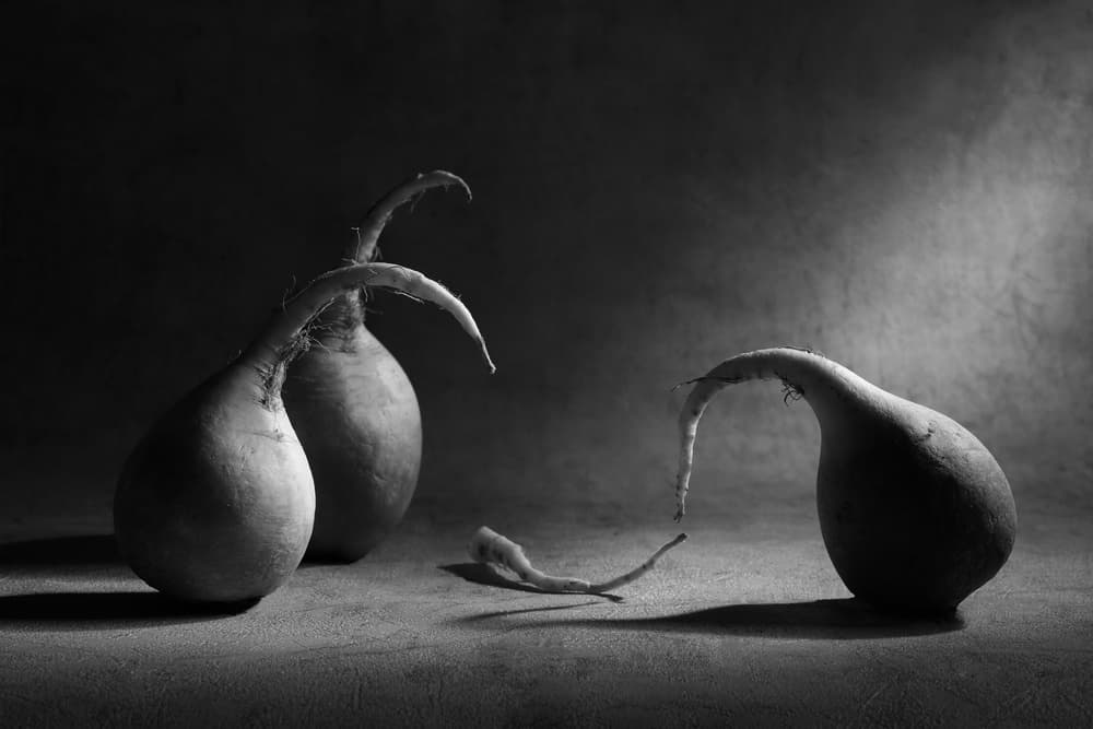 Melancholy Gourds by Victoria Glinka — canvas wall art