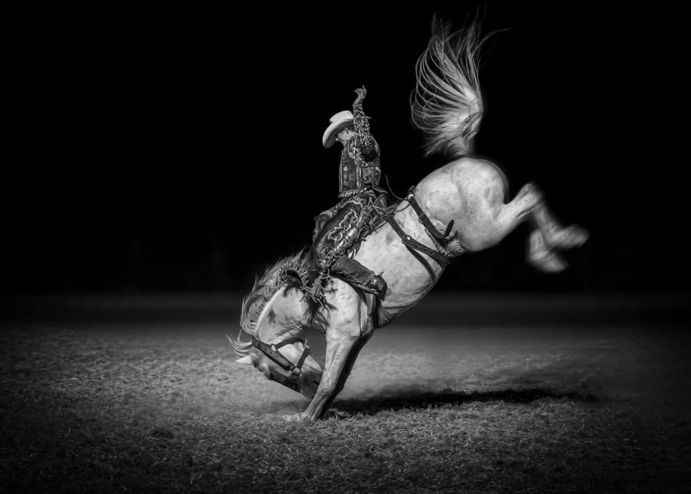 Night Rodeo Action by Frank Ma — canvas wall art