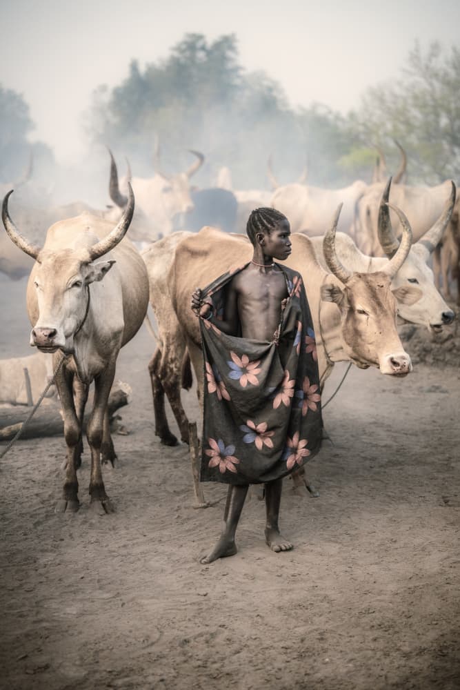African Child and Cattle by Trevor Cole — canvas wall art