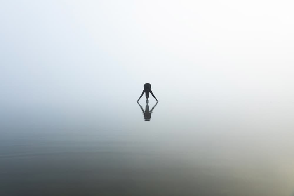 Solitary Reflection by Leszek Paradowski — canvas wall art