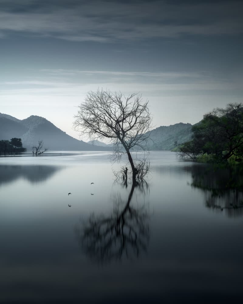 Tranquility by SANDEEP MATHUR — canvas wall art