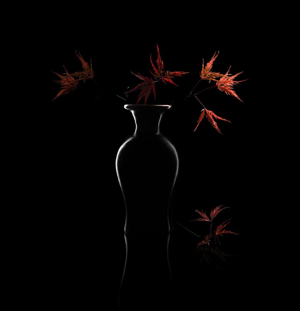 Elegant Maple Still Life by John-Mei Zhong — canvas wall art