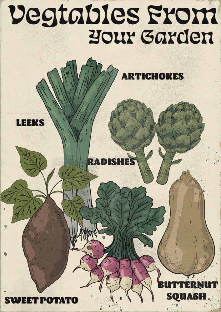 Garden Fresh Vegetables by Nicholas — canvas wall art