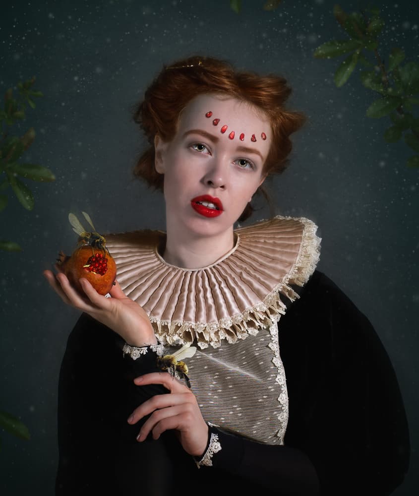 Regal Pomegranate Portrait by Svetlana Melik-Nubarova — canvas wall art