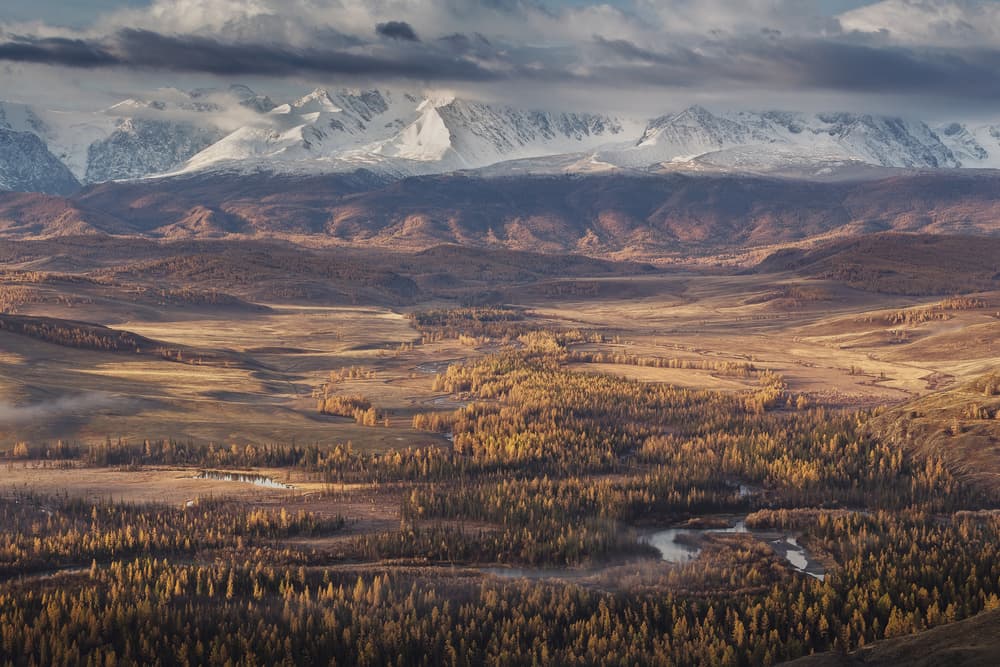 Golden Valley Snowy Peaks by Dmitry Kupratsevich — canvas wall art
