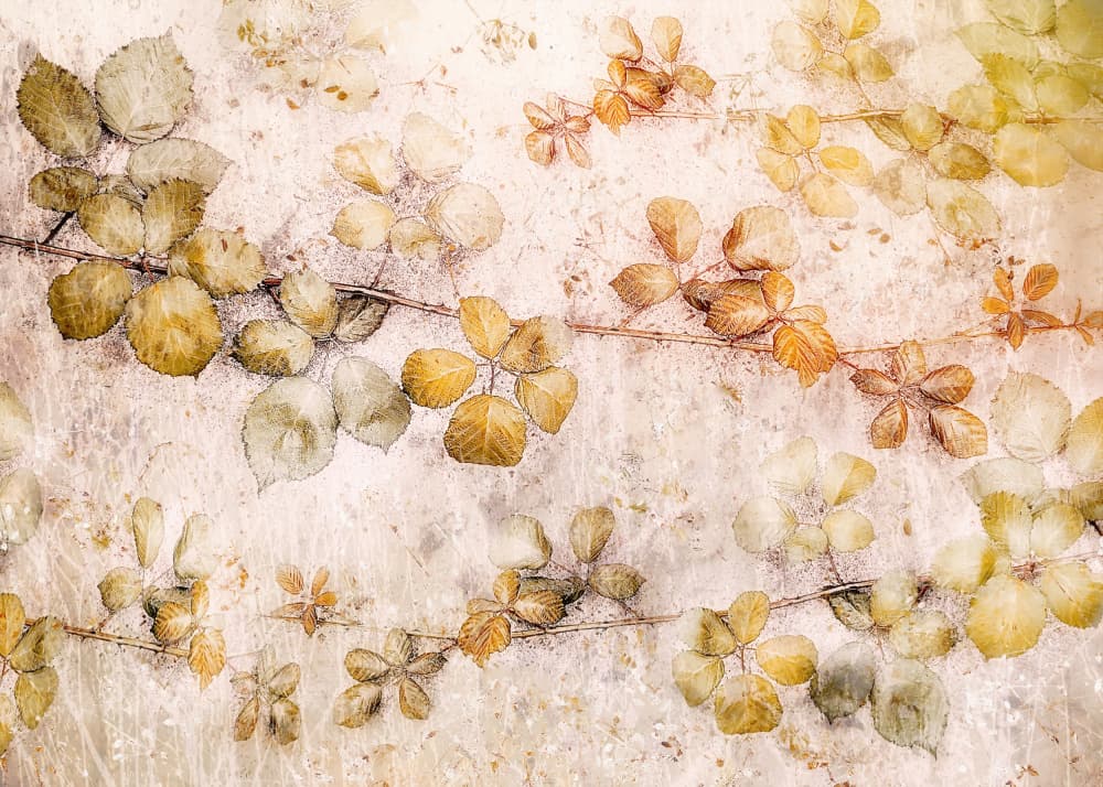 Coloring leaves by Nel Talen — canvas wall art