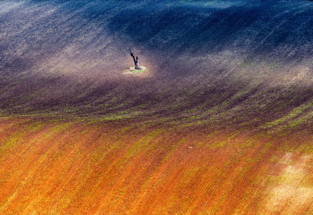 Lone Tree by Slawomir Kowalczyk AFRP FIAP IAAP — canvas wall art