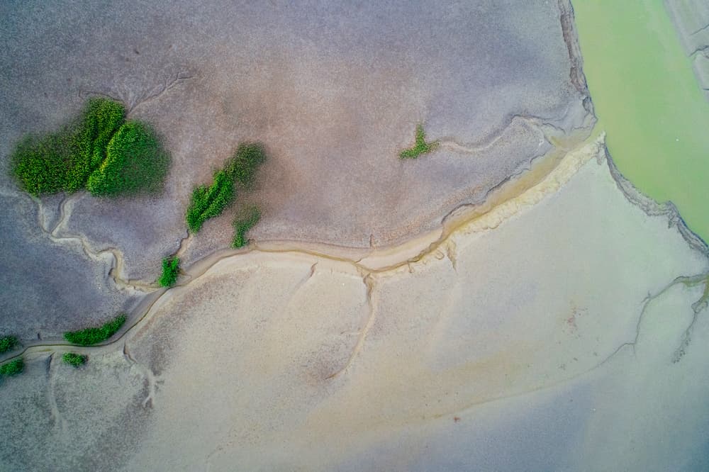Aerial Estuary Patterns by Zhou Chengzhou — canvas wall art