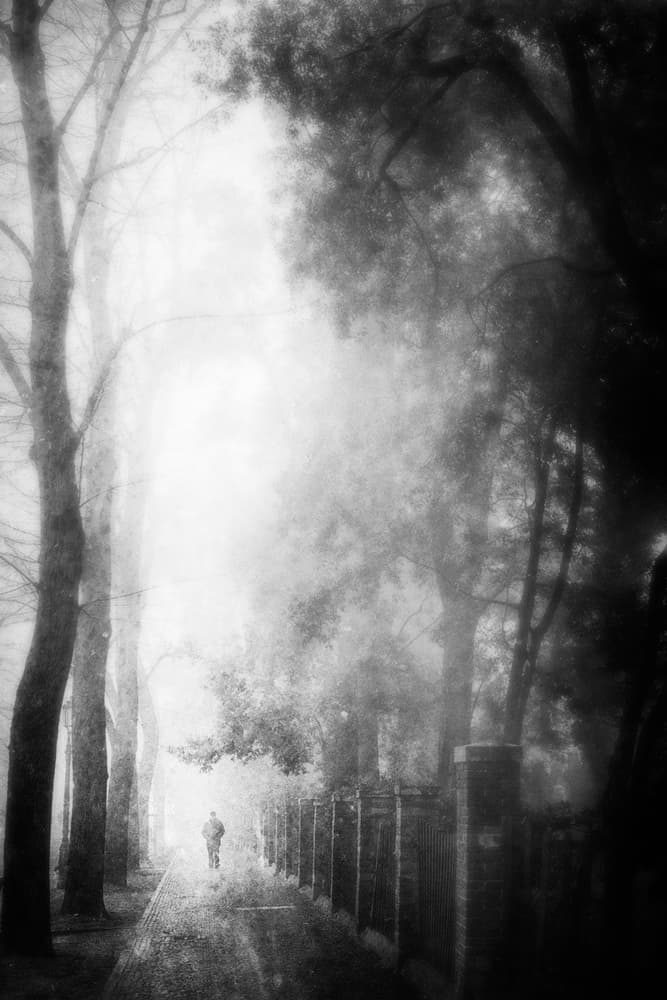 Solitary Walk In Mist by Enrico Facchetti — canvas wall art