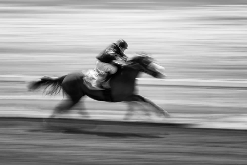 Racing Horse Speed by Steven Zhou — canvas wall art