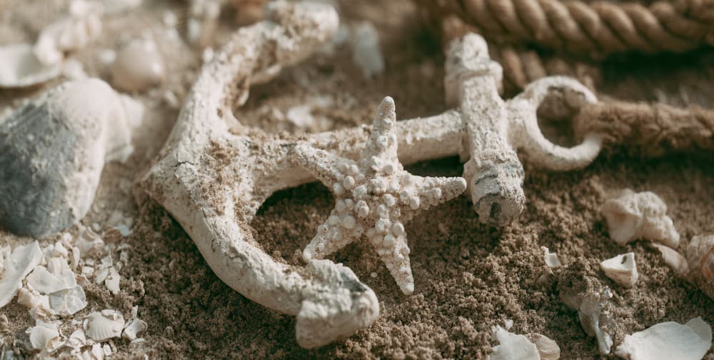 Coastal Anchor And Starfish by Treechild — canvas wall art