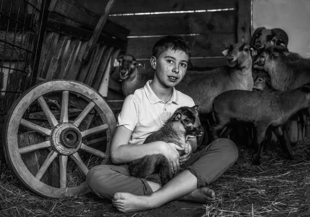 Farm Boy And Lamb by Joško Šimic — canvas wall art