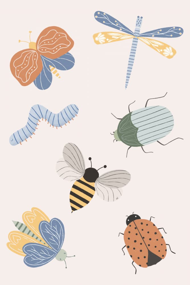 Whimsical Garden Insects by Menina Lisboa — canvas wall art