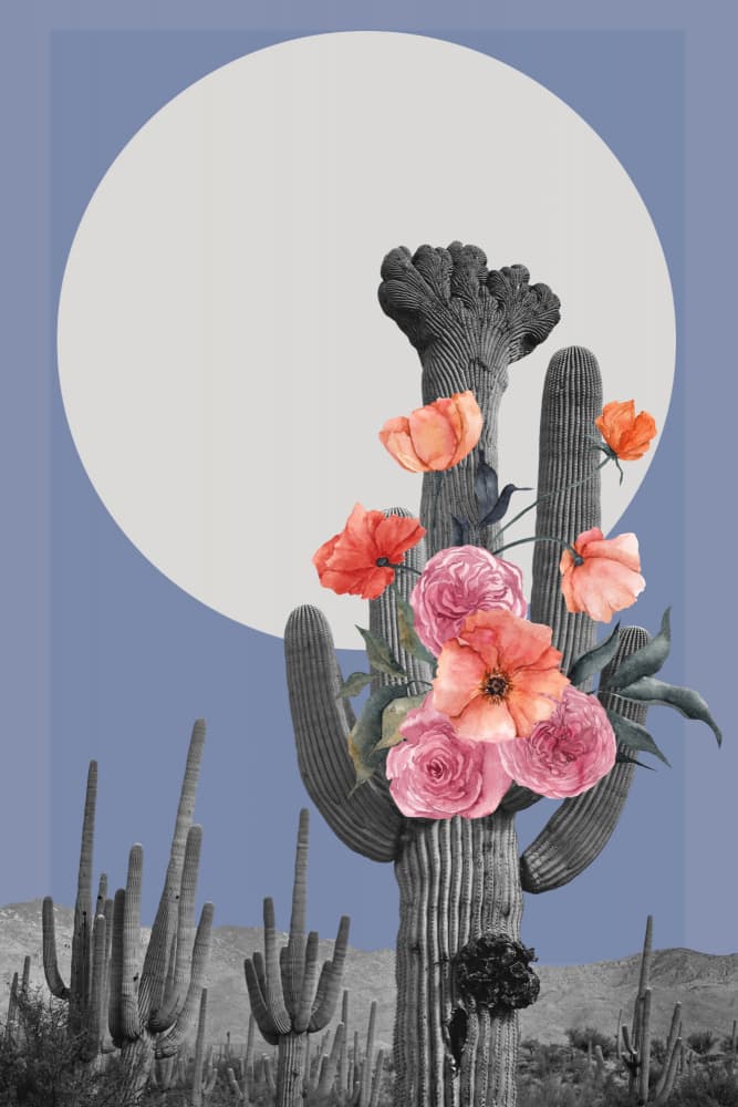 Desert Moon Blooms by Marja van den Hurk — canvas wall art