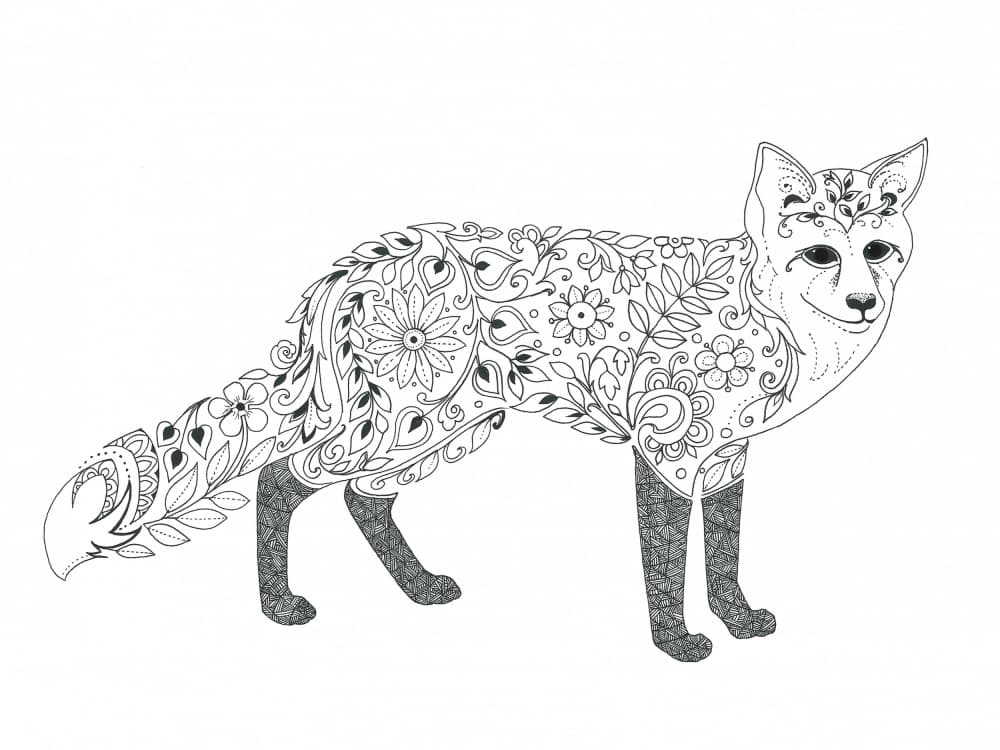 Fox by Isabelle Brent — canvas wall art