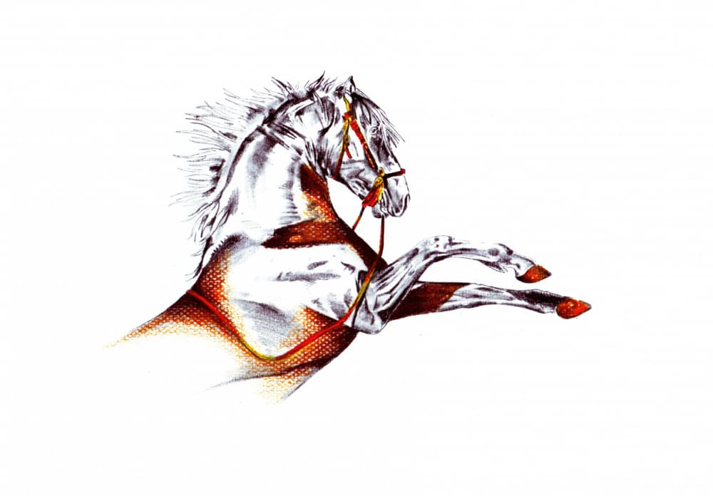 Rearing White Horse by Kulik — canvas wall art