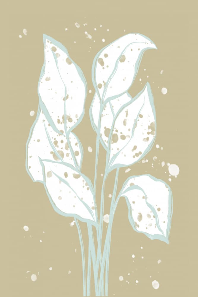 Minimalist Botanical Splatter by Martina — canvas wall art
