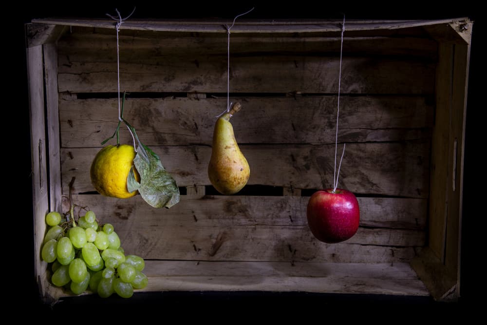 Rustic Hanging Fruit by Felice Angelino — canvas wall art