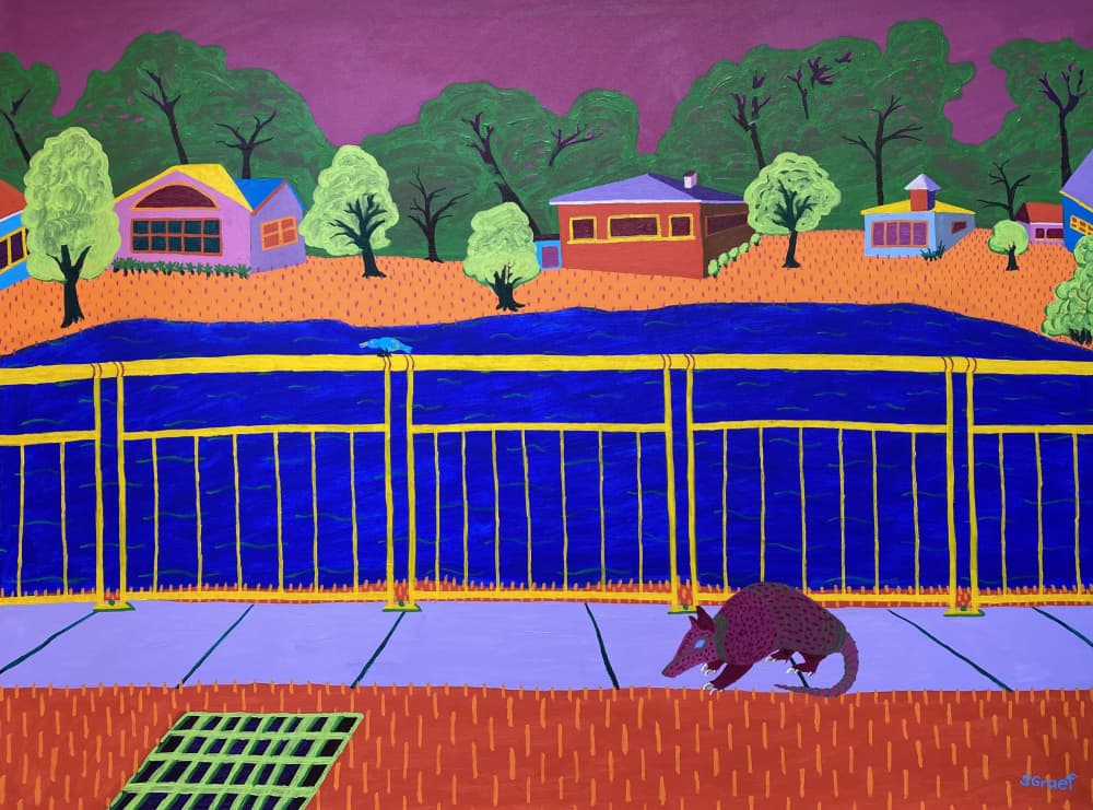 Armadillo at the Pond by Sue Graef — canvas wall art
