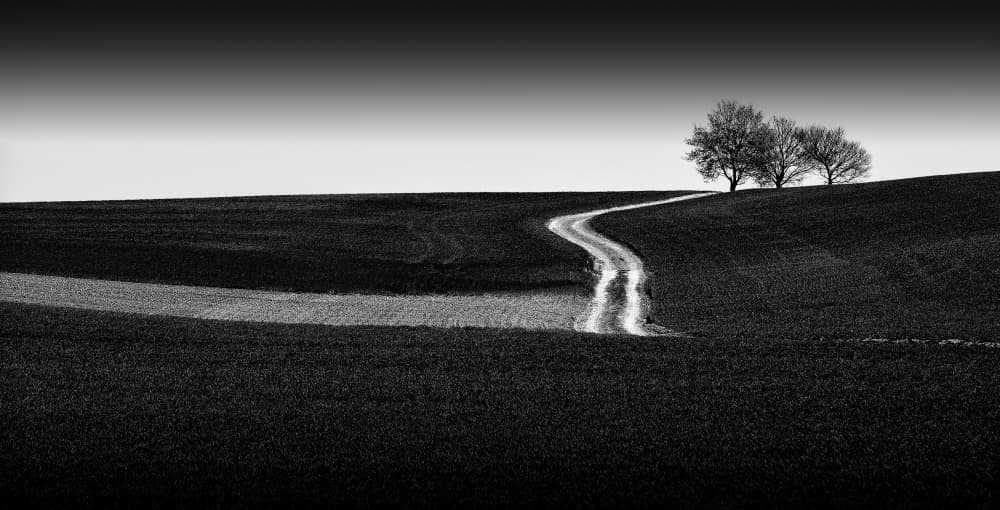 Winding Road Bare Trees by Jan Scheunders — canvas wall art