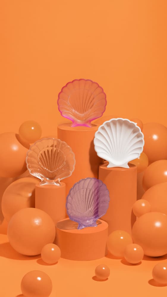 Summer Seashell Display by Julia Ramiro — canvas wall art
