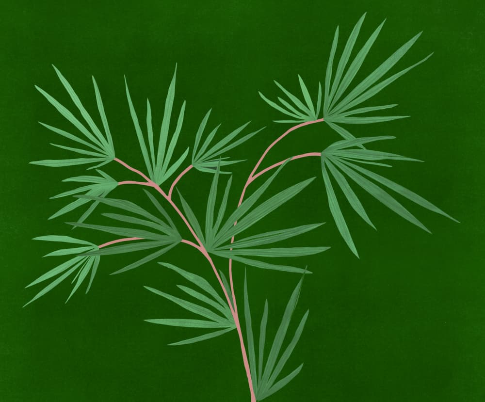 Night Palm 3 by Kristian Gallagher — canvas wall art