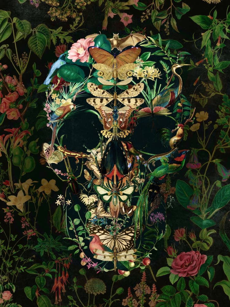 Dark Botanical Skull by Ali Gulec — canvas wall art