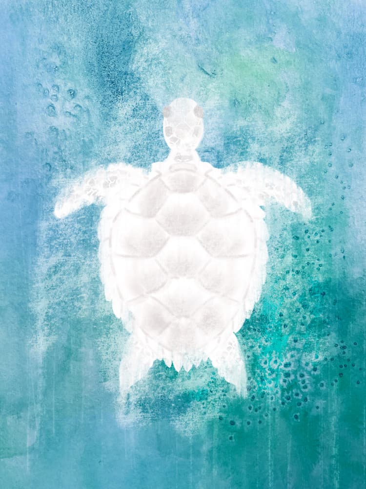 Serene Sea Turtle by Aliya Putrus — canvas wall art