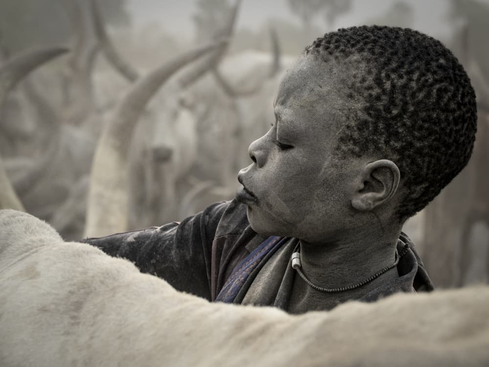 Dusty Child Among Cattle by Elena Molina — canvas wall art