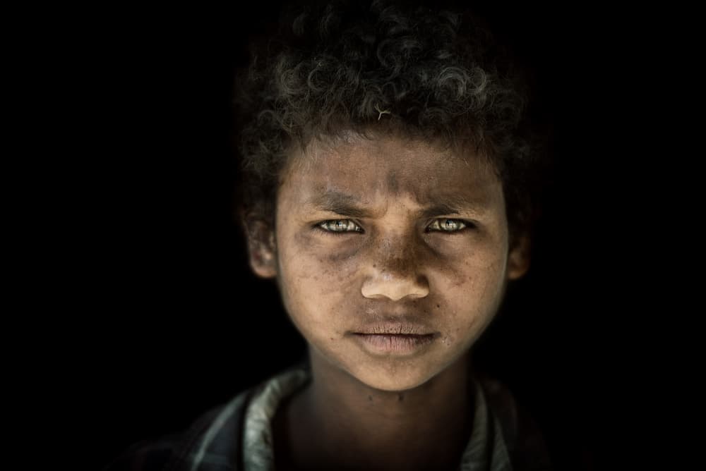Eyes of Assam by Trevor Cole — canvas wall art