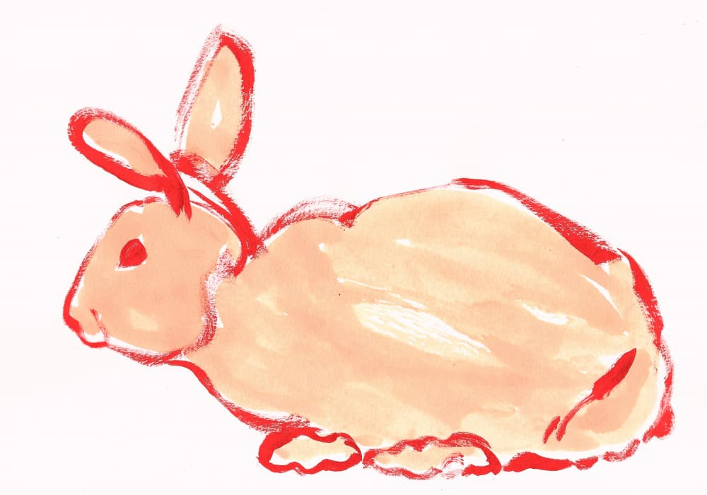 Cute Orange Bunny by Santhosh ch — canvas wall art