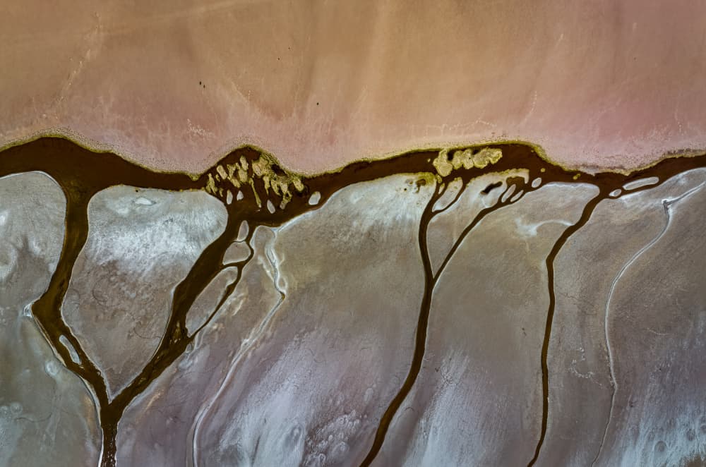 Desert Veins Flow by Shenshen Dou — canvas wall art