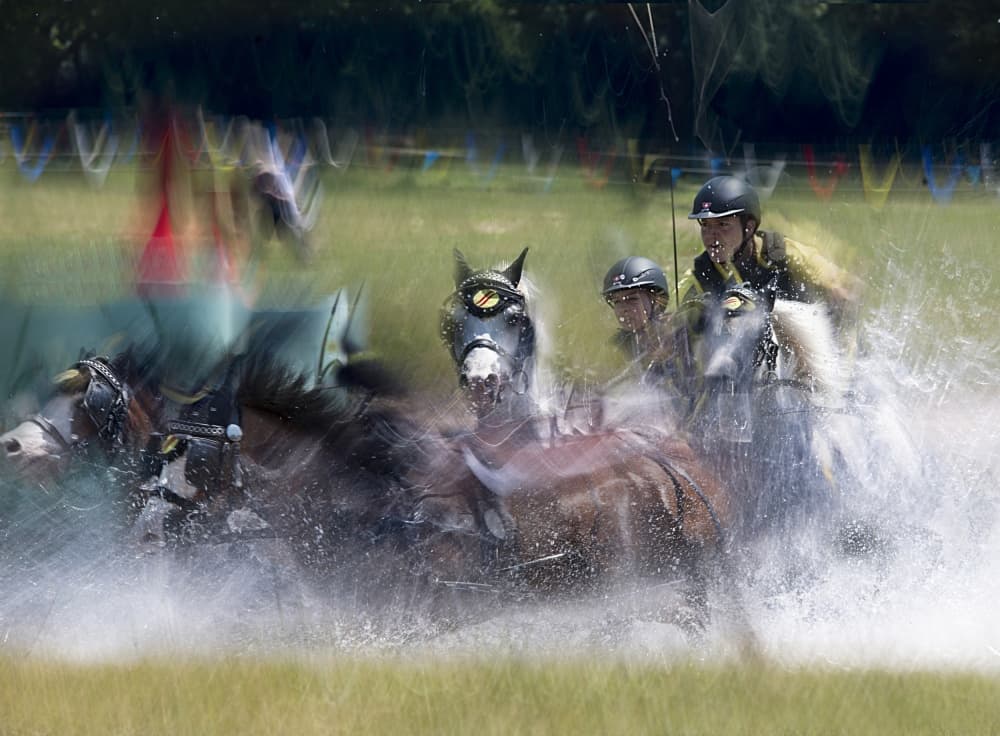Equestrian Water Sprint by Milan Malovrh — canvas wall art