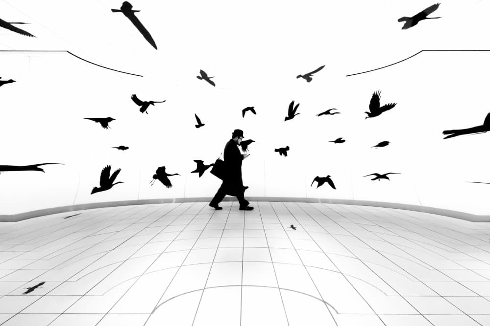 Man and Bird Silhouettes by Tetsuya Hashimoto — canvas wall art