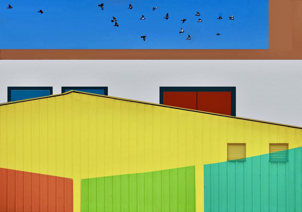 Vibrant Building Birds by Arnon Orbach — canvas wall art