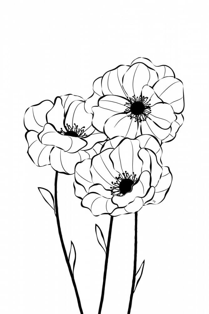 Elegant Floral Line Art by Martina — canvas wall art
