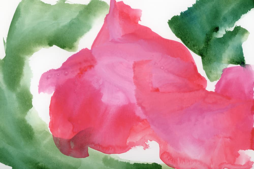 Soft Pink Bloom Abstract by Teodora 'Teo' Guererra — canvas wall art