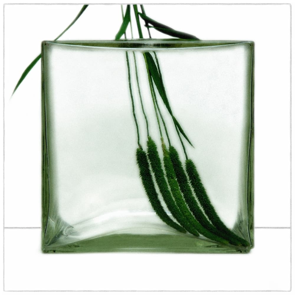 Fresh Green Stems Glass Vase by Huib Limberg — canvas wall art