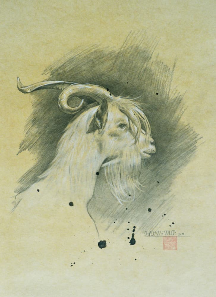 Noble Horned Goat by Hongtao Huang — canvas wall art