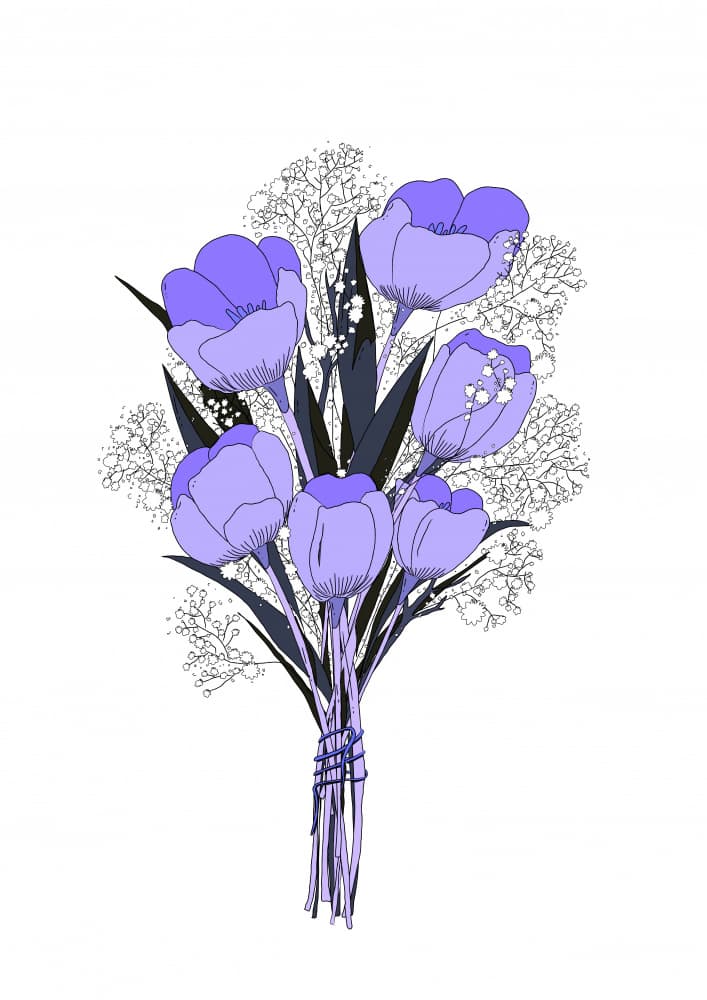 Delicate Lavender Tulips by Nicholas — canvas wall art